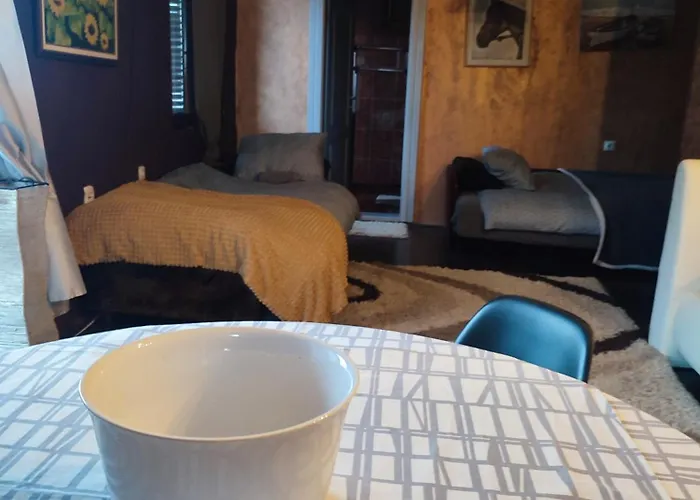 B&B Etno Selo Nasa Avlija